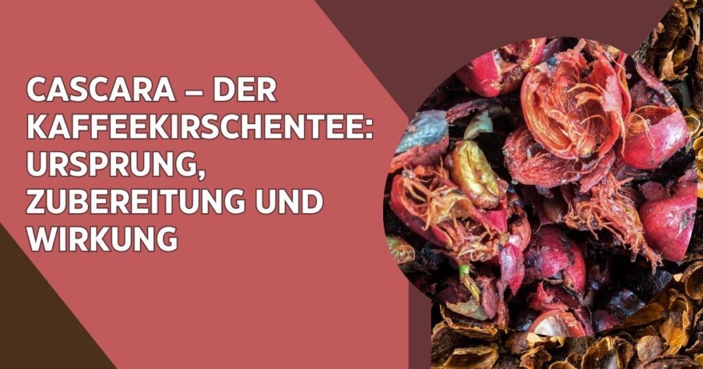 Cascara – Der Kaffeekirschentee: Ursprung, Zubereitung und Wirkung