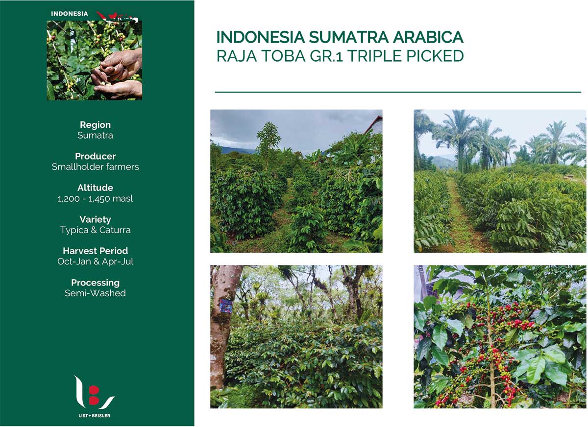 Indonesien – Sumatra Raja Toba