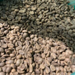 Jamaica Blue Mountain – Der wohl berühmteste Kaffee der Welt